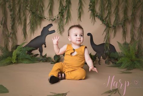 Will hopefully get some hanging plants and silhouetted dinosaur shapes Dinosaur Shapes, First Birthday Photoshoot, Jungle Theme Birthday Party, Theme First Birthday, Boy Photo Shoot, Dinosaur Birthday Cakes, Jungle Theme Birthday, Safari Theme Birthday, 1st Birthday Photoshoot