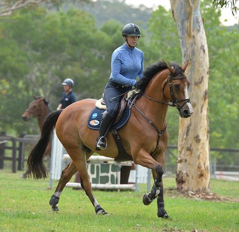 George Morris – It’s simple, it’s just not easy | The Horse Magazine George Morris, Horse Magazine, Thoroughbred, The Horse, Dressage, Riding Helmets, Equestrian, Horses, Magazine