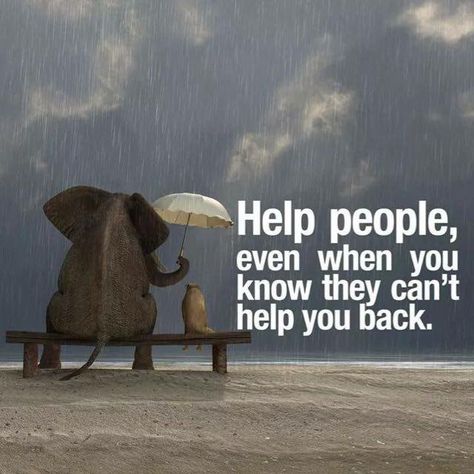 Pay It Forward, Quotes Success, Acts Of Kindness, An Elephant, When You Know, Random Acts Of Kindness, Entrepreneur Quotes, Business Quotes, In The Rain