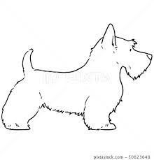 Scottish Terrier Line Art - Stock Illustration [50823648] - PIXTA Scottish Terrier Illustration, Terrier Illustration, Dog Silhouettes, Illustration Outline, Money Images, 강아지 그림, Little Rascals, Highlands Terrier, Dog Silhouette