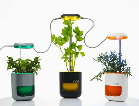 This miniature self-watering herb-planter can be magnetically attached to your fridge! Growing Microgreens, Herb Planters, Led Grow, Air Purifying Plants, Led Grow Lights, Self Watering Planter, Self Watering, Easy Plants, Perfect Plants