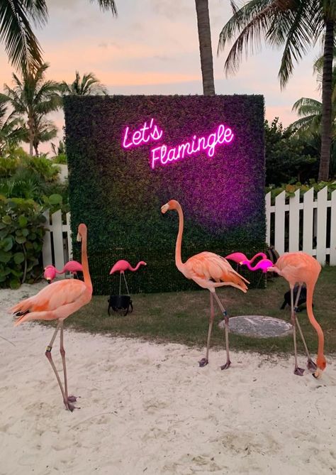 7 Year Itch, Baha Mar, Let's Flamingle, Corporate Party, The Bahamas, Cocktail Hour, Bahamas, Wedding Events, Flamingo