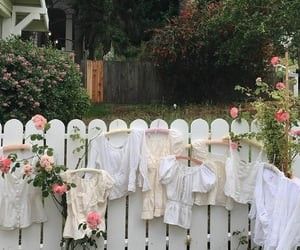 White Picket Fence, Picket Fence, A House, Fence, Pink Flowers, Roses, Flowers, Pink, White