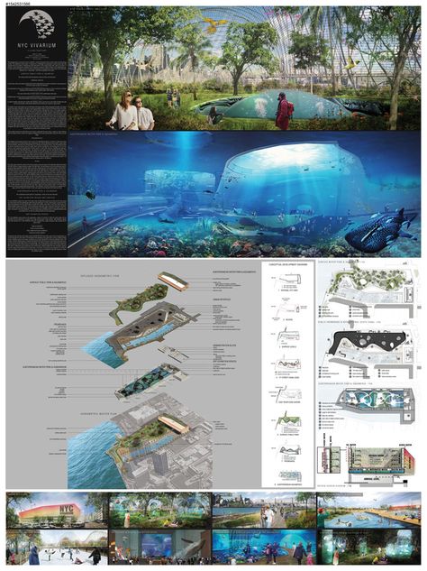 Picture Architecture Boards, Waterfront Architecture, Aquarium Architecture, Zoo Design, Public Aquarium, Zoo Architecture, Aquarium Wedding, Architectural Representation, Presentation Boards