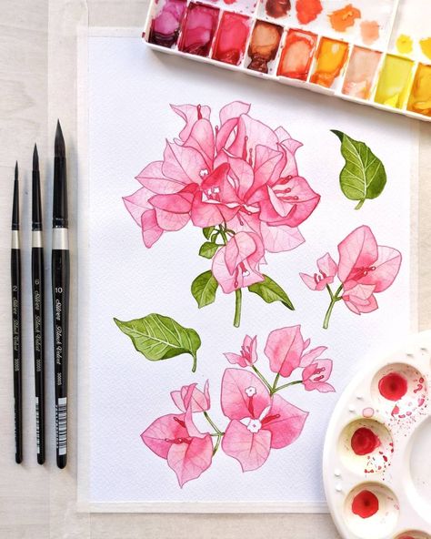 (20+) Salt x Paper - Bougainvillea watercolour studies done! This was... | Facebook Bougainvillea Drawing Simple, Bougainvillea, Art Drawings Sketches Simple, Art Drawings Sketches, Textile Design, Drawing Sketches, Art Drawings, Drawings, Art