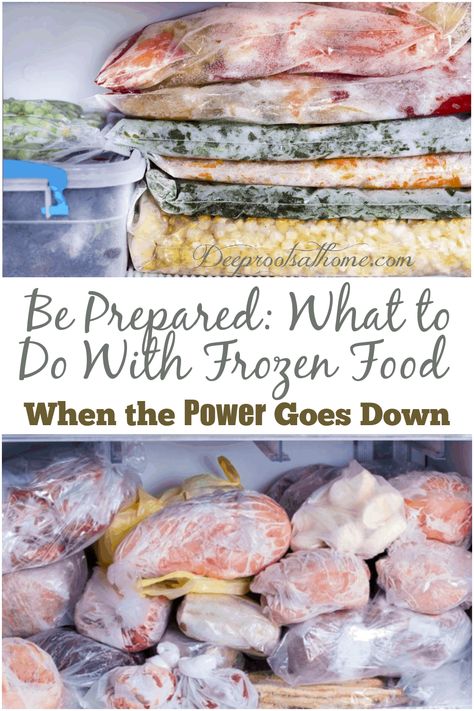 Be Prepared: What to Do With Frozen Food When the Power Goes Down via @deeprootsathome Chili Bean Soup, Homestead Tips, Harvest Storage, Survival Preparedness, Survival Foods, Vegan Probiotics, Homestead Ideas, Emergency Food Supply, Moonshine Recipes