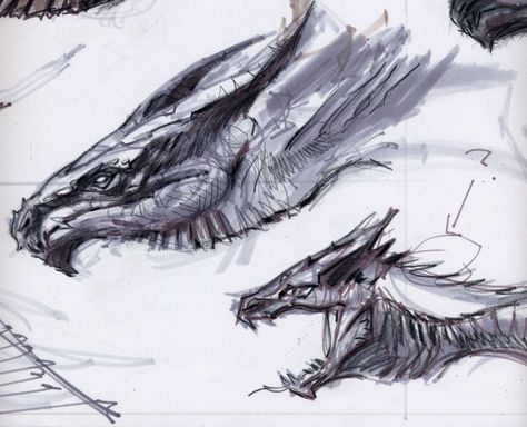 Dragon Head Concepts Dragon Side Profile, Skyrim Dragons, Horizon Machines, Adam Adamowicz, Dragon Concept Art, Dragon Concept, Skyrim Dragon, Dragon Anatomy, Dragon Heads