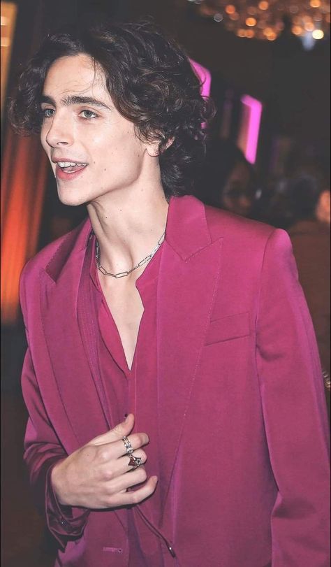 Regulus Acturus Black, Timmy T, Pink Suit, The Perfect Guy, Famous Men, Hot Actors, Celebrity Art, Timothee Chalamet, Fav Celebs