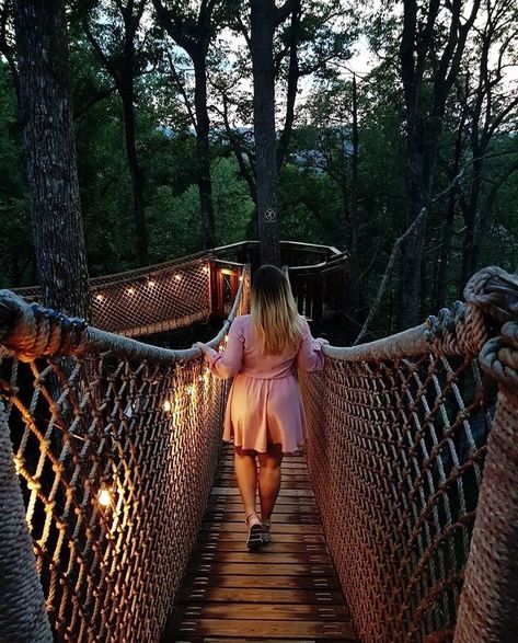 Treetop Skywalk, Canopy Walkway, Rope Bridge, Sky Bridge, Forest Canopy, Ropes Course, Gatlinburg Tennessee, Walk In The Woods, Incredible Places