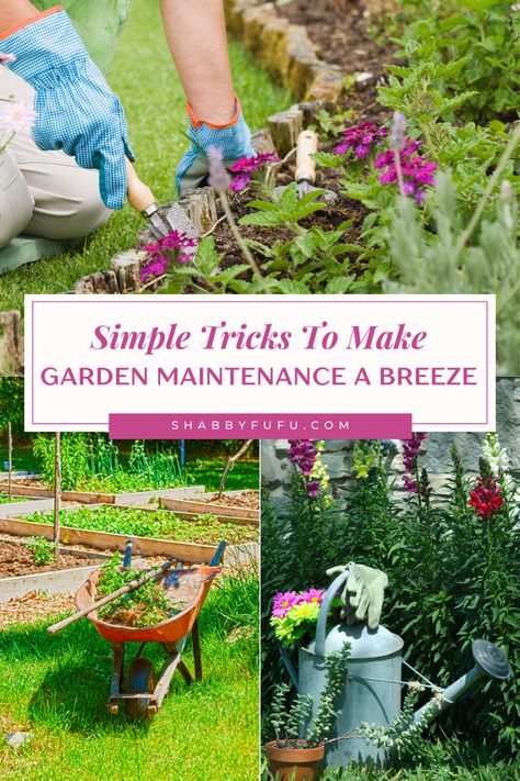 Simple Tricks To Make Garden Maintenance A Breeze Garden Maintenance Tips, Growing Green Beans, Planting Marigolds, Growing Greens, Drip Irrigation System, Covered Garden, Garden Maintenance, Square Foot Gardening, Garden Equipment