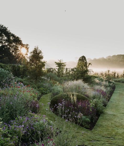 757 Likes, 8 Comments - Cameron Gardens (@camerongardens) on Instagram: “The garden in its early days taking its first toddler steps, when the tulips went in and the first…” Sporobolus Heterolepis, Garden Plots, In The Winter, Garden Inspiration, The Winter, Perennials, The Garden, Flower Garden, Tulips