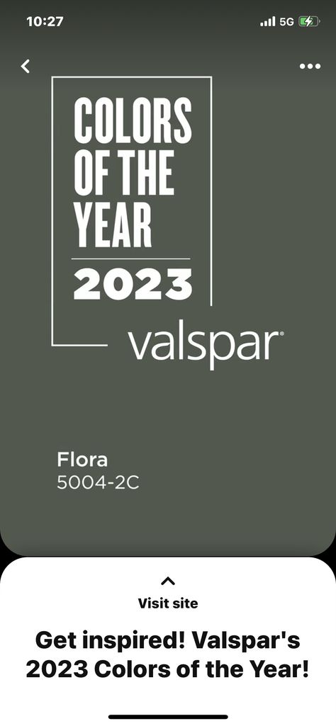 Flora Valspar Paint, Valspar Flora Paint, Flora By Valspar, Flora Valspar, Moody Bedroom Paint, Paint Reference, Green Grey Paint, Moody Living Room, Basement Redo