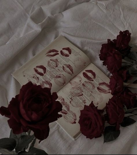 Maroon Aesthetic Flowers, Dark Red Coquette Wallpaper, Dark Maroon Aesthetic, Maroon Aesthetic Burgundy, Maroon Aesthetic Wallpaper, Dark Red Coquette, Maroon Roses, Cherry Core, Maroon Aesthetic