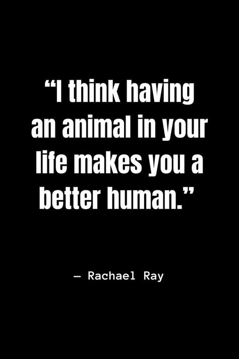 I think having an animal in your life makes you a better human. #AnimalConnection #BetterHumans #AnimalFriendship #UnconditionalLove #quotesaboutanimals  #dogs #puppies #quotes #funnyquotes #funnydogs #animals #pets #cats #kittens #doge Save Animals Quotes, Quotes About Pets, Quotes About Animals, Puppies Quotes, Attachment Quotes, Pets Quotes, Animal Love Quotes, Animal Lover Quotes, Connection Quotes