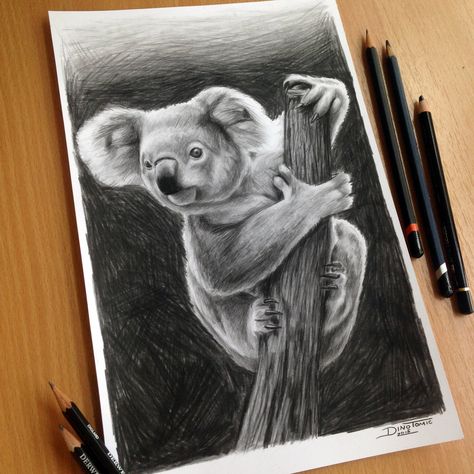 Koala Pencil Drawing by AtomiccircuS.deviantart.com on @DeviantArt Koala Tattoo, Wildlife Drawing, Koala Illustration, Koala Drawing, Koala Art, Sparrow Art, Beginner Sketches, Koala Bears, Pencil Drawings For Beginners