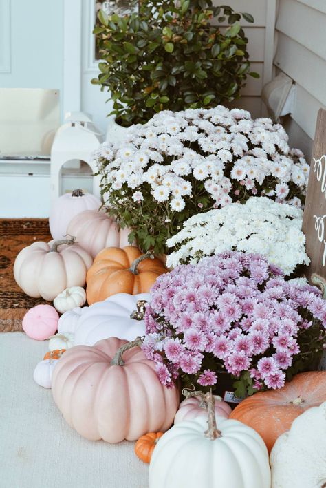 Pink Pumpkin Porch Decor, Pink And White Pumpkin Decor, Purple Mums White Pumpkins, Pink Fall Decor Porch, Grandmillenial Fall Porch, Pink Gingham Pumpkin Party, Front Yard Porch Landscaping, Fall Front Porch Pumpkins, Pink Pumpkin Fall Decor