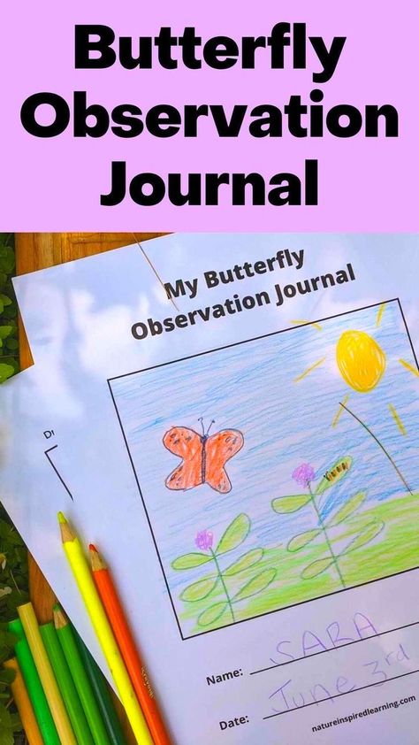 Kids in Preschool, Kindergarten, 1st, 2nd, 3rd, and 4th grade LOVE leaning about the life cycle of a butterfly. Create your own butterfly observation journal with these printable journaling pages! Butterfly Observation Journal, Kindergarten Science Activities, Nature Printables, Elementary Science Activities, Insect Activities, Middle School Science Teacher, My Butterfly, Science Lesson Plans, Easy Science Experiments