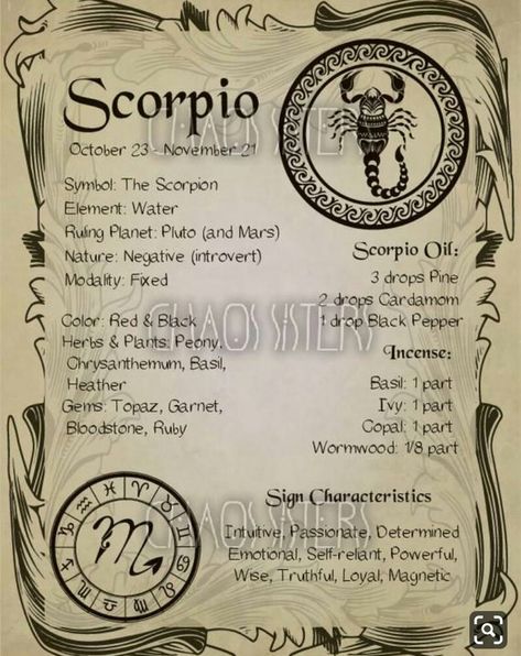 Scorpio Zodiac Sign, Scorpio Zodiac Facts, Zodiac Signs Scorpio, Zodiac Book, Scorpio Horoscope, Wiccan Spell Book, Witchcraft Spell Books, Book Of Shadow, Witch Books