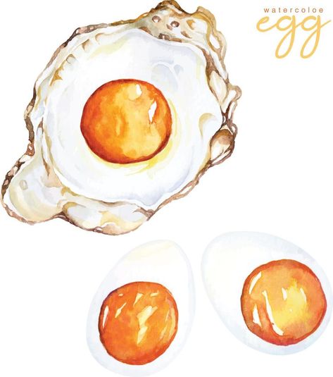 Hand draw fried egg and boiled egg with watercolor.American breakfast.Protein foods for health care. Fried Egg Drawing, Egg Illustration Design, Egg Watercolor, Breakfast Protein, American Breakfast, Care Care, Egg Painting, Boiled Egg, Hand Draw