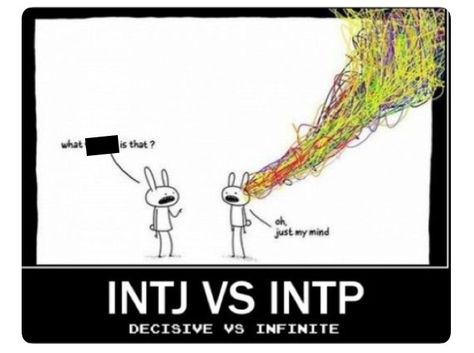 Intp Female, Intp Personality Type, Intp T, Intp Personality, Intj Intp, Intj Personality, Myers Briggs Personality Types, Infp T, Myers–briggs Type Indicator