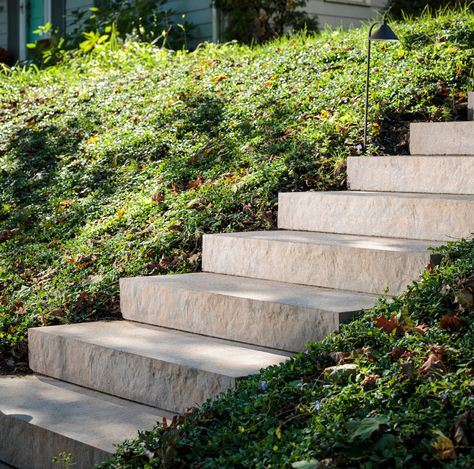 Stone Stairs Outdoor, Limestone Steps, Stairs In The Forest, Landscape Steps, Landscape Stairs, Garden Stairs, Stone Stairs, Outdoor Steps, Hillside Landscaping