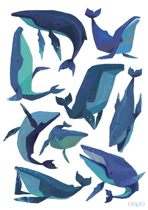 Blue Whale Pictures, Whale Images, Whale Pictures, Whale Illustration, Posca Art, Whale Art, Blue Whale, In The Ocean, Creature Design