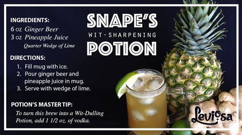 Snape's Wit Sharpening Potion Harry Potter Themed Drinks, Harry Potter Themed Food, Harry Potter Cocktails, Accio Harry Potter, Bar Stuff, Harry Potter Food, Themed Drinks, Harry Potter Crafts, Harry Potter Books