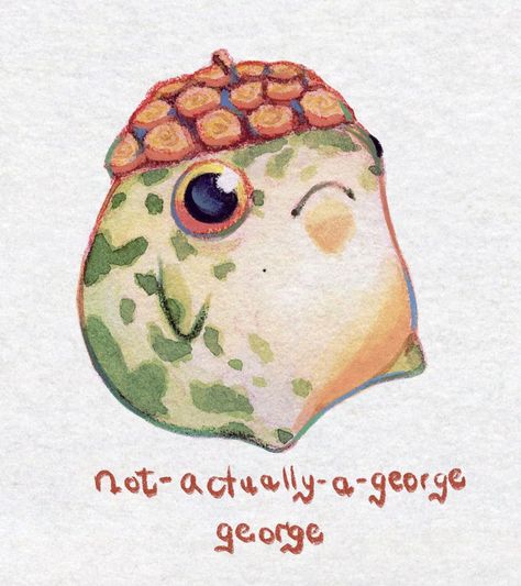 Funny Frog Drawings, Cute Frog Drawing, Acorn Drawing, Amazing Spiderman Movie, Frog Drawing, Cute Funny Pics, Pottery Painting Designs, Cute Fantasy Creatures, Frog Art