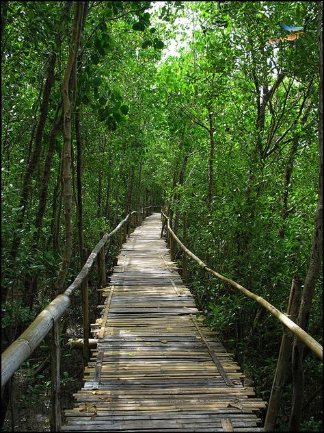 Kalibo, Western Visayas, Old Western, My Photos, Garden Bridge, Railroad Tracks, Philippines, Outdoor Structures, Travel