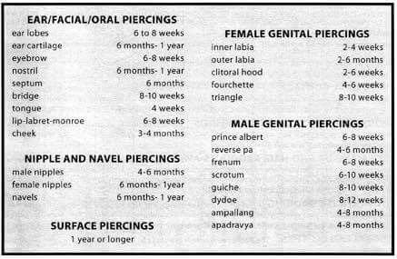 Healing Time For Piercings, Piercing Healing Time Chart, Piercing Healing, Different Types Of Piercings, Mouth Piercings, Piercings Ideas, Piercing Chart, Cool Piercings, Life Crisis