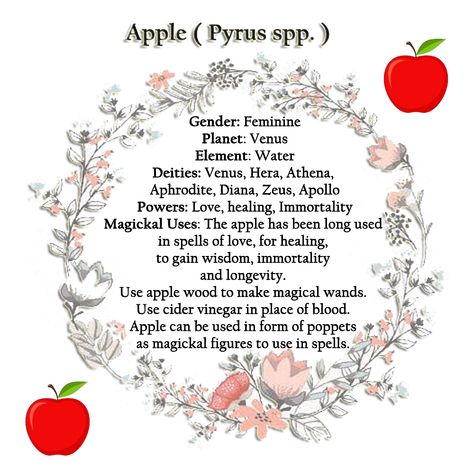 Grimoire Inspiration, Glamour Magick, Magickal Correspondences, Kitchen Witchcraft, Magical Fruit, Witch Kitchen, Apple Aesthetic, Lunar Witch, Magickal Herbs