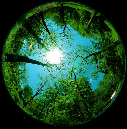 fghh Fisheye Photography, Mandala Images, Fish Eye Lens, Art Plastique, Crystal Ball, Mother Earth, Looking Up, Pretty Pictures, The Sky