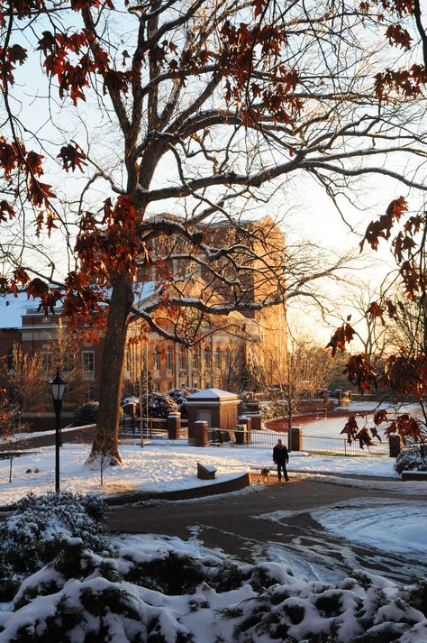 College Gothic, Canada College, Hamilton College, Campus Aesthetic, Winter Semester, University Aesthetic, Davidson College, College Vision Board, Story Aesthetic