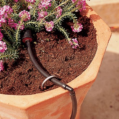 Water Saving Tips, Drip System, Watering System, Sunset Magazine, Drip Irrigation System, Container Design, Container Gardens, Drip Irrigation, Garden Irrigation