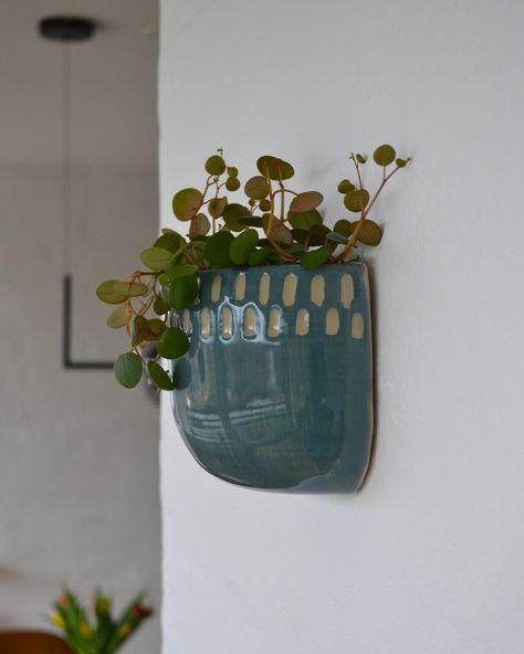 A beautiful handmade wall planter from 'Broegaard'. Comes in 7 different colors.  Dimensions can vary, since it is a handmade item, but is around 10 to 12 cm in diameter, and 5 cm in depth.  Size and glaze may vary from pictures, and if the glaze varies more than usual, I will contact you for your approval, before I send it.  Please be aware that there is a production time on this item, since it is made to order, at 2 to 5 weeks. Diy Planters Indoor, Ceramic Wall Planters, Wall Planters Indoor, Handmade Ceramic Planters, Pottery Pots, Ceramic Wall Decor, Pottery Form, Handmade Planter, Cerámica Ideas