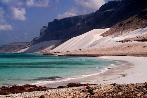 SOCOTRA ISLAND The most alien-looking place on Earth. Mediterranean Beaches, Socotra Island, Socotra, Yemen, Arab Emirates, Archipelago, Countries Of The World, United Arab Emirates, Indian Ocean