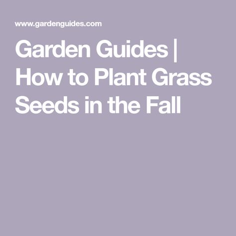 Garden Guides | How to Plant Grass Seeds in the Fall How To Plant Grass, Grass Seed Types, Planting Grass, Types Of Grass, Garden Guide, Peat Moss, Grass Seed, Green Lawn, Best Seasons