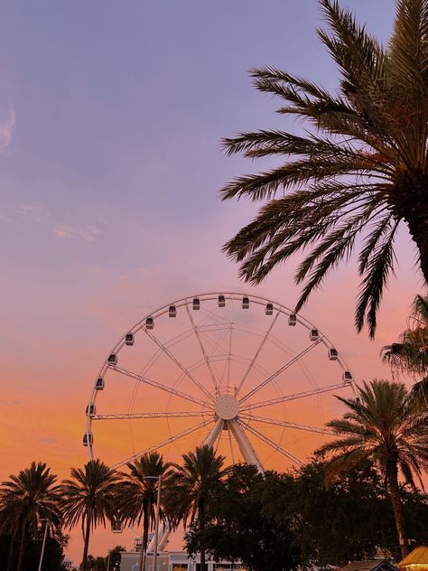 📍panama city, fl #skywheel #sunset #beach #summeraesthetic #summer #ferriswheel Pier Park Panama City Beach, Bay County, Panama City Florida, Panama City Beach Fl, Panama City Beach Florida, Panama City Beach, Sunshine State, Panama City, Sunset Beach