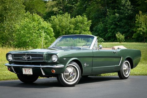 For Sale: 1965 Ford Mustang Convertible (Ivy Green, 289ci V8, 3-speed) Classic Mustang Convertible, 1960 Ford Mustang, 1950s Mustang, 1960 Mustang, Green Ford Mustang, Green Classic Car, Ford Mustang 1960, 1965 Mustang Convertible, 1965 Ford Mustang Convertible