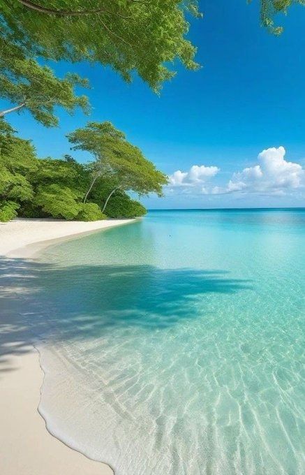 (30) Startseite / X Summer Beach Pictures, Beautiful Beach Pictures, Beautiful Ocean Pictures, Exotic Beaches, Ocean Pictures, Pretty Landscapes, Tropical Beaches, Beach Wallpaper, Beautiful Locations Nature