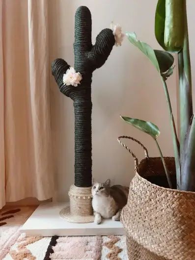 Best Cat Scratching Post, Cactus Cat, Diy Cat Tree, Cat Towers, Cat Playground, Cat Hacks, Cat Scratching Post, Cat Scratcher, Pet Hacks