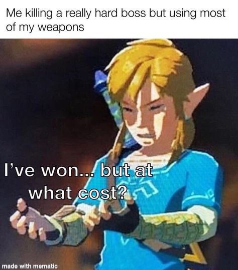 Botw Zelda, Legend Of Zelda Memes, Zelda Funny, Mental Break, Hyrule Warriors, This Meme, Video Game Memes, Link Zelda, Legend Of Zelda Breath