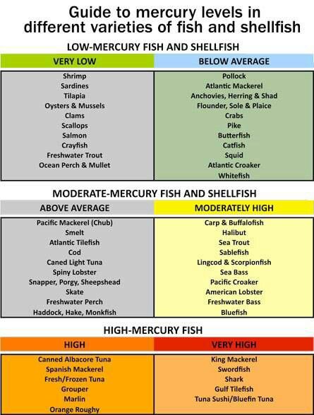 Fish mercury levels Ocean Perch, Low Mercury Fish, Pescatarian Lifestyle, Pescetarian Diet, Pescatarian Meals, Pescatarian Diet, Food Advice, Babies Stuff, Heart Healthy Diet