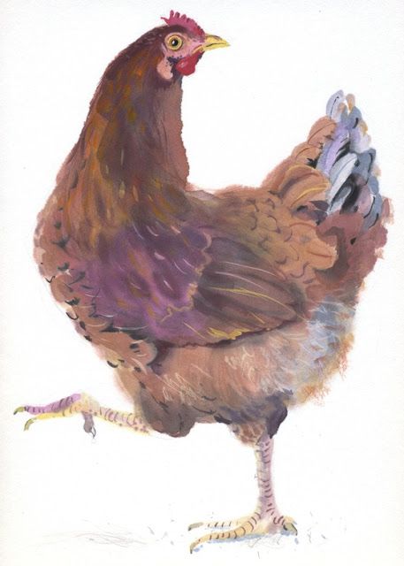 Mary Woodin, Chickens Painting, Chicken Portrait, Farm Animal Paintings, Farm Prints, Bird Paintings On Canvas, Chicken Pictures, Farm Pictures, Rooster Painting