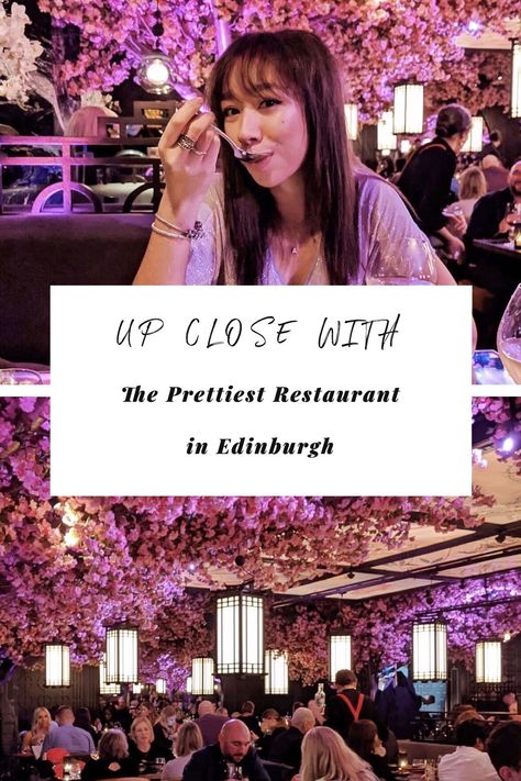 Could this be one of the most Instagrammable restaurants in the UK? Read all about Tattu and my favourite restaurants in Edinburgh Deep Fried Mars Bars, Restaurants In Edinburgh, Instagrammable Restaurants, Edinburgh Restaurants, Mars Bars, Jewish Deli, 3 Course Meals, Edinburgh Travel, Brunch Club