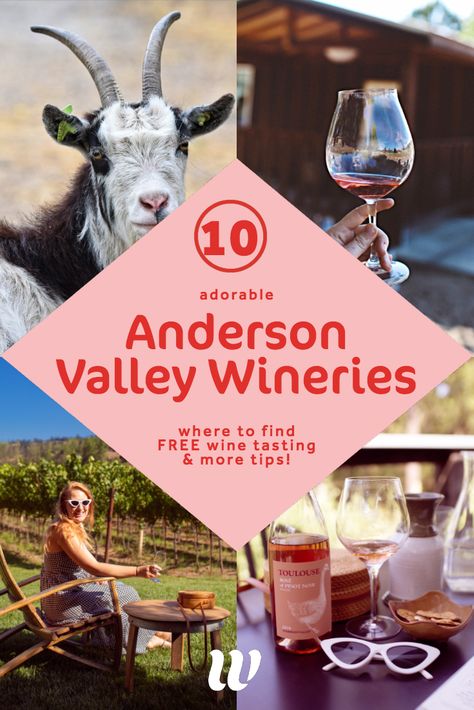 Anderson Valley California, Anderson Valley Wineries, Wine Map, Pinot Noir Wine, Fort Bragg, Anniversary Trips, I Want To Travel, Wine Tour, Tasting Room