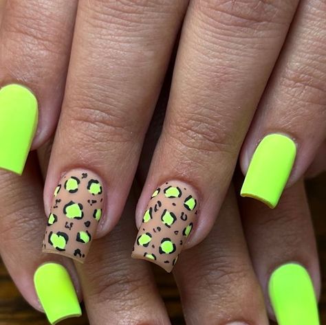 ✨🖤 Dani 🖤✨ on Instagram: "Neon leopard print 😍  ♡ ♡ ♡ ♡ ♡ ♡ ♡ ♡ ♡ ♡ ♡ ♡ ♡ ♡ ♡ ♡  #nailsbydania #shafternails #wasconails #bakersfieldnails #661nails #leopardprint #leopardprintnails #neonnails #summernails #springnails" Green Cheetah Nails, Neon Leopard Print, Cheetah Print Nails, Cheetah Nails, Leopard Print Nails, Print Nails, Leopard Nails, Animal Print Nails, Trendy Nail Art