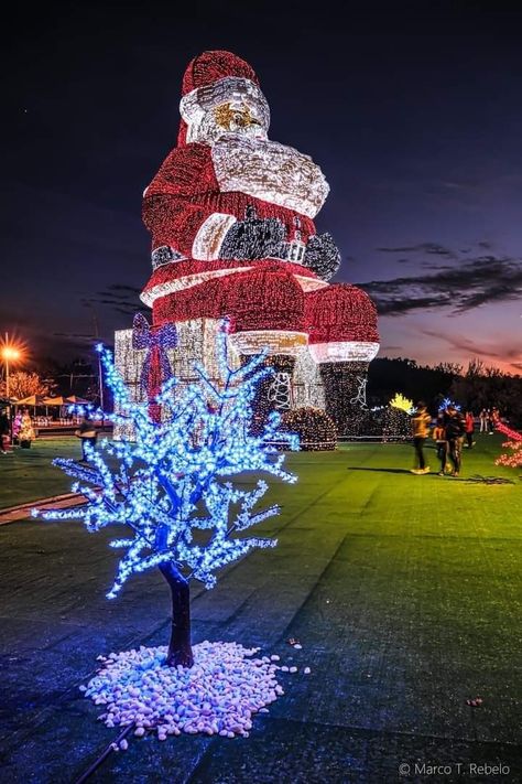 Águeda- Portugal 🇵🇹 Christmas Season started Portugal Winter, Portugal In Winter, Lisbon Christmas, Christmas In Portugal, Merry Christmas In Portuguese, Over The Hill, Come And Go, Winter Aesthetic, Joy To The World