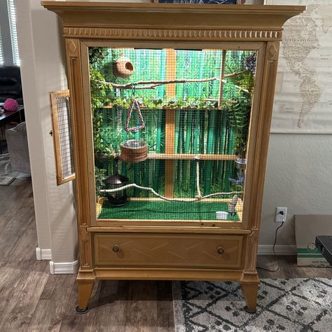 Small Bird Aviary for Sale in Surprise, AZ - OfferUp Indoor Pigeon Cage Ideas, Indoor Aviary Ideas Pet Birds, Finch Cage Ideas, Indoor Aviary Ideas, Aviary Mini, Bird Cage Ideas Diy, Bird Aviary For Sale, Indoor Aviary, Bird Cage Ideas