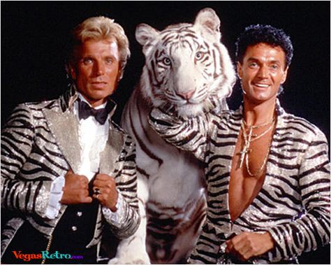 Photo of Siegfried & Roy with a white tiger they had raised from a cub White Tiger Costume, The White Tiger Movie, Circus Tiger, George Michael 80s, Tiger Power Animal, Low Cut Shirt, Vintage Tiger Woods, Vegas Theme Party, Tiger Costume